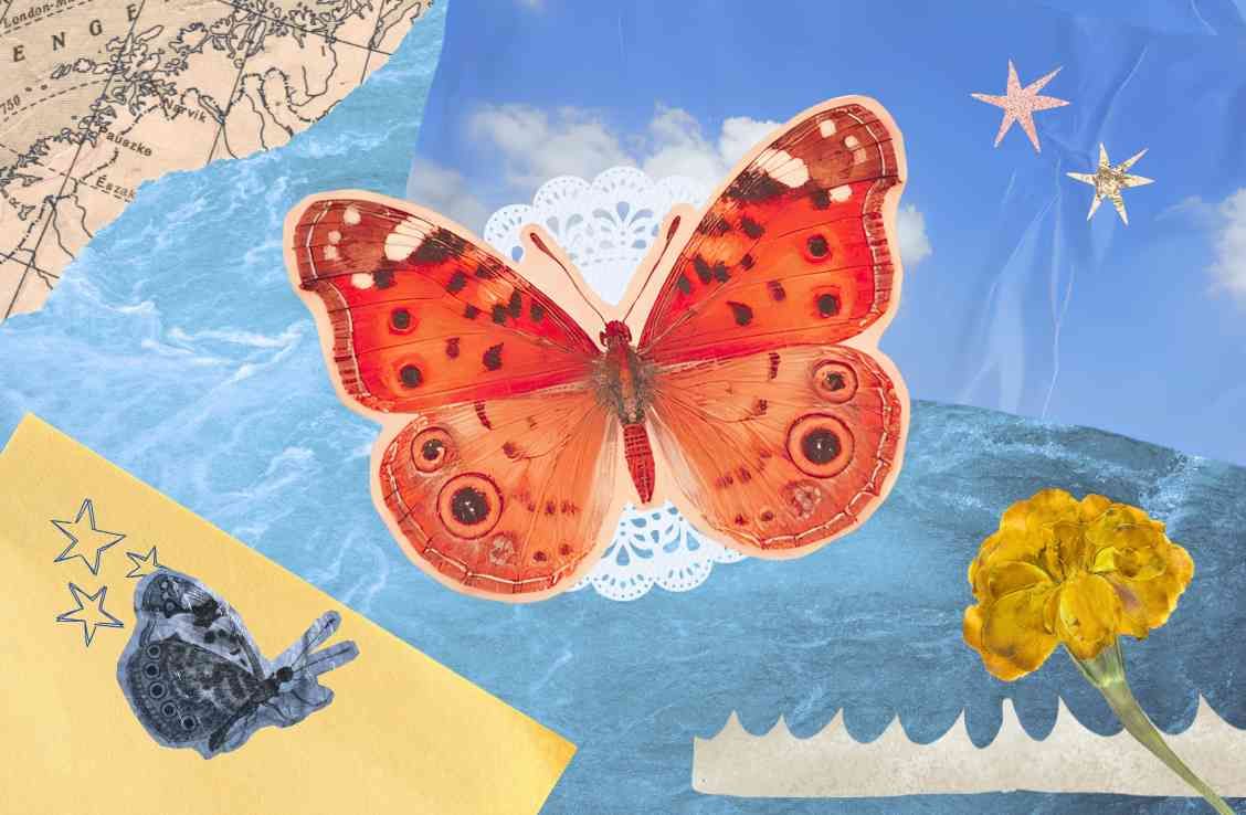 Collage de una mariposa desplegando sus alas
